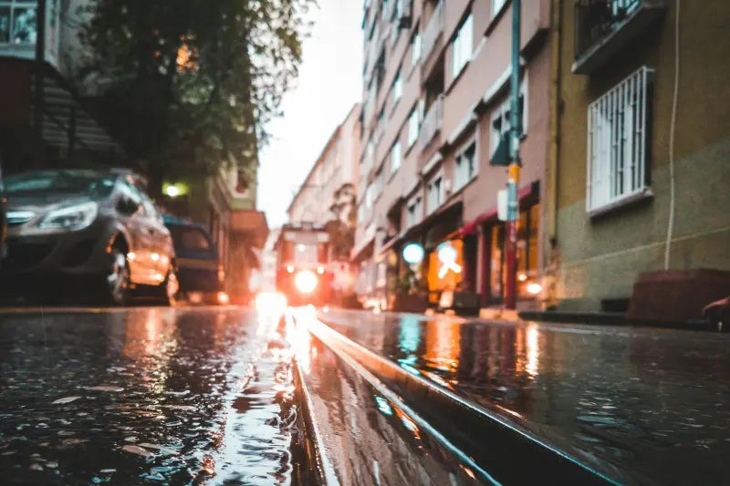 Top Tips for Using Raincoats for Dogs During Rainy Season Walks