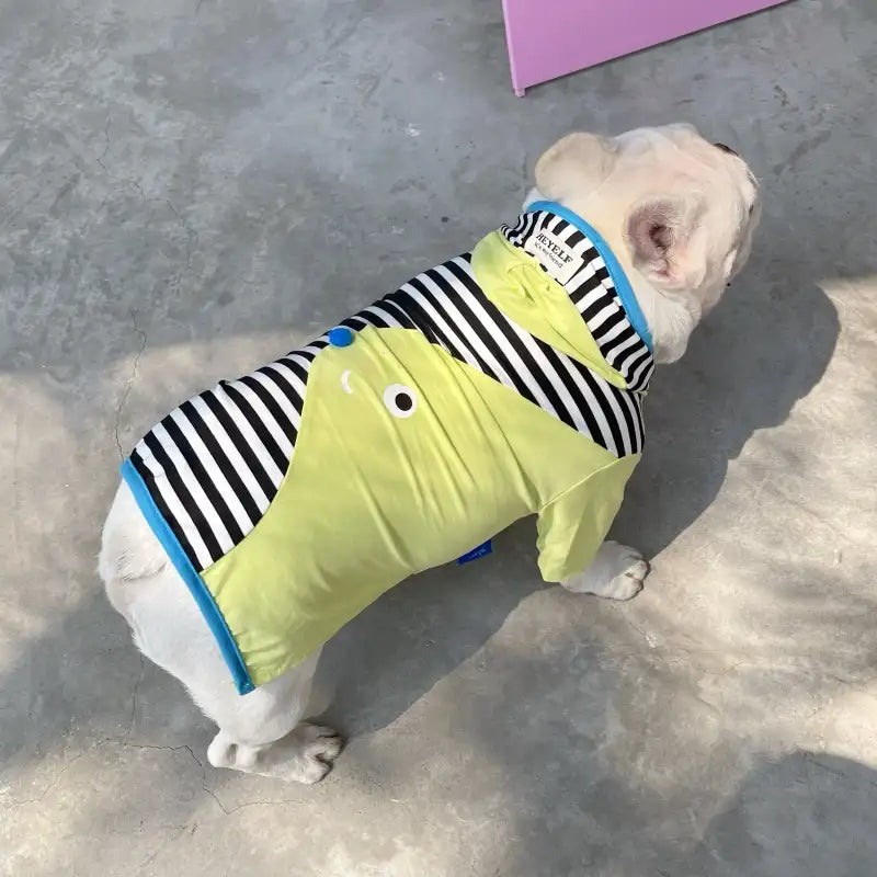Color Block Striped Dog Hoodies
