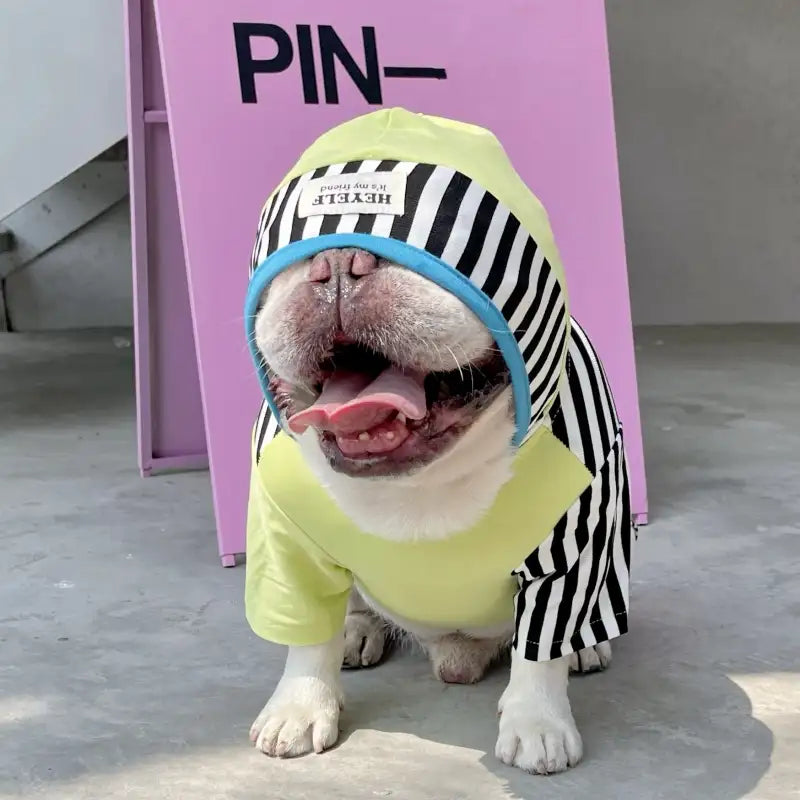Color Block Striped Dog Hoodies