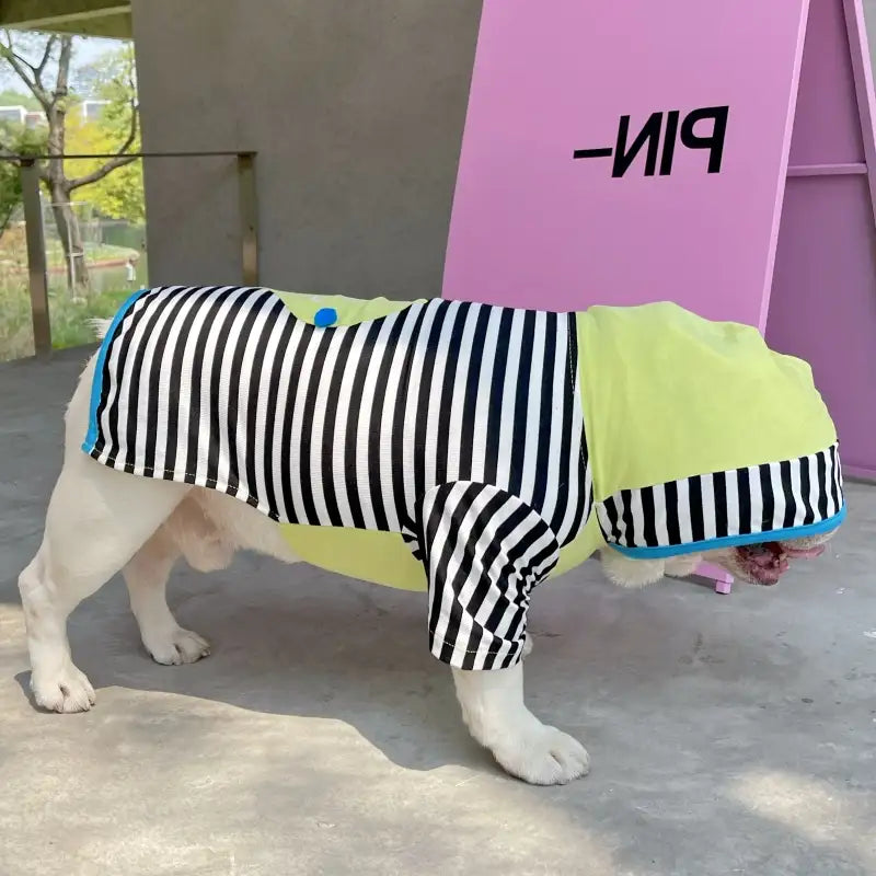 Color Block Striped Dog Hoodies