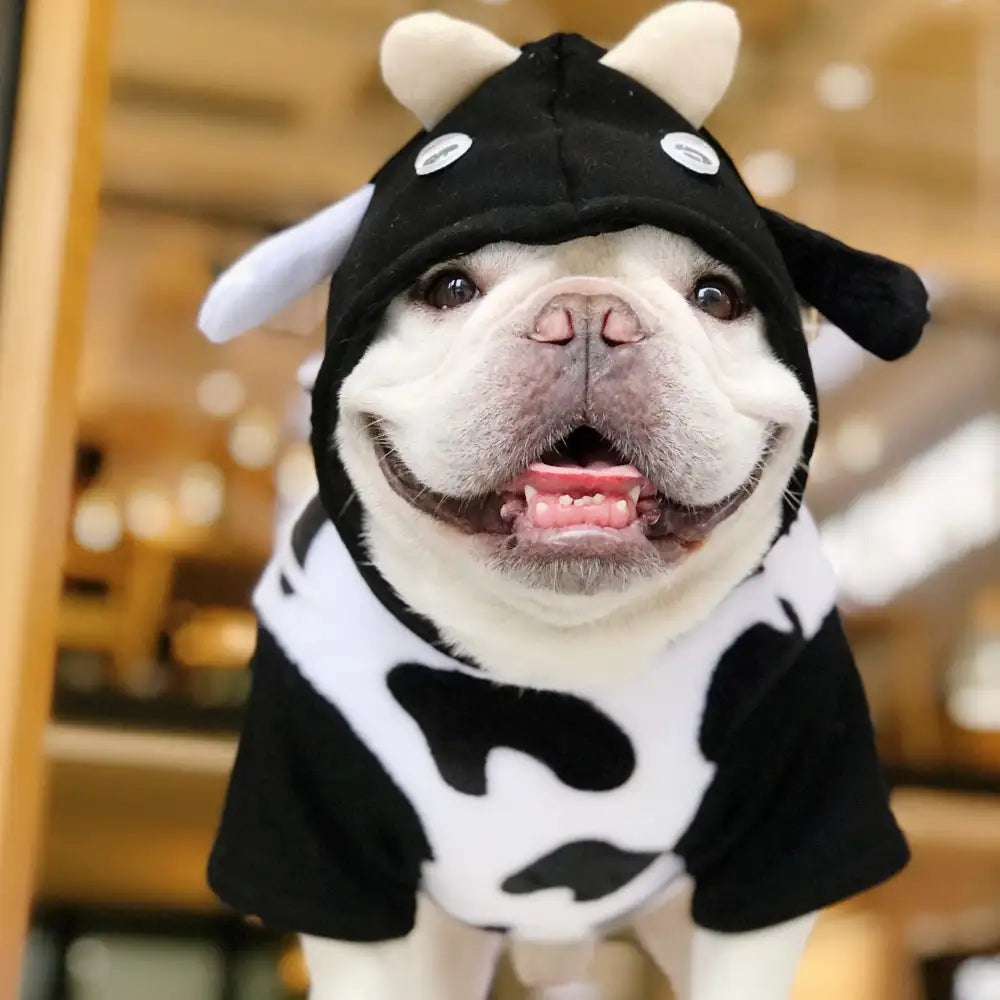 Cow Dog Hoodies