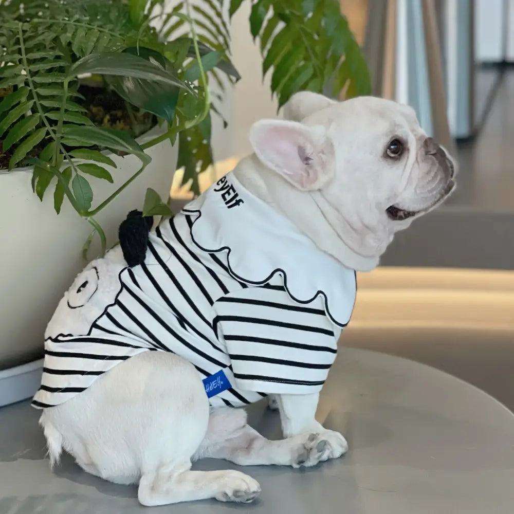 Panda Striped Dog Hoodie