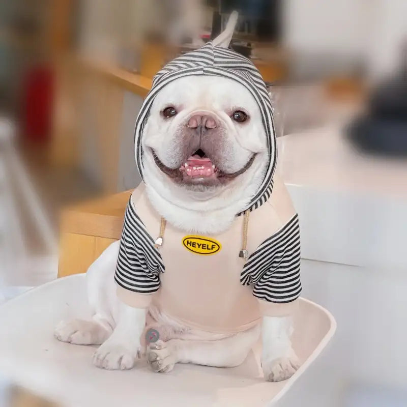 Dinosaur Fleece Dog Hoodies