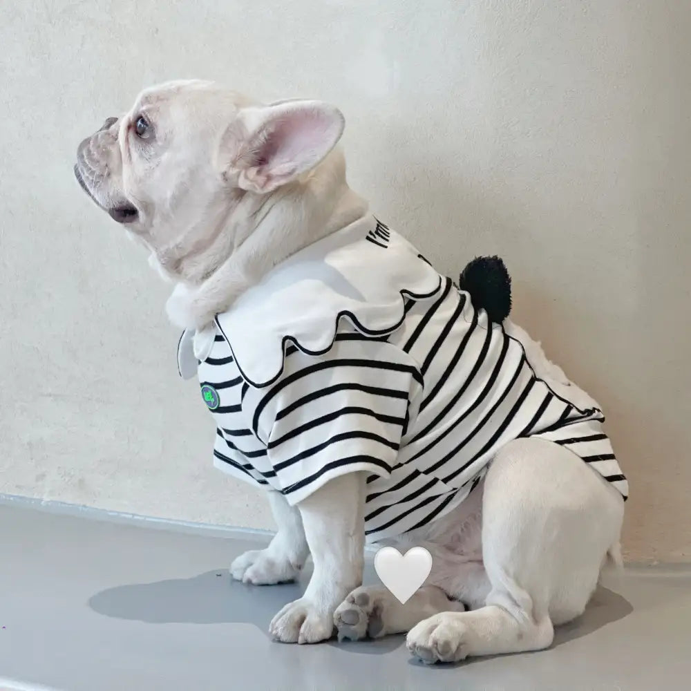 Panda Striped Dog Hoodie