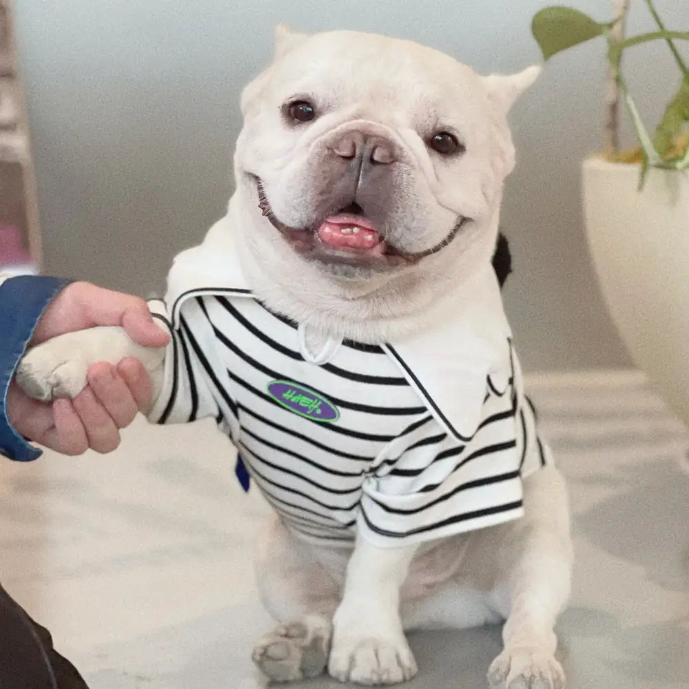 Panda Striped Dog Hoodie