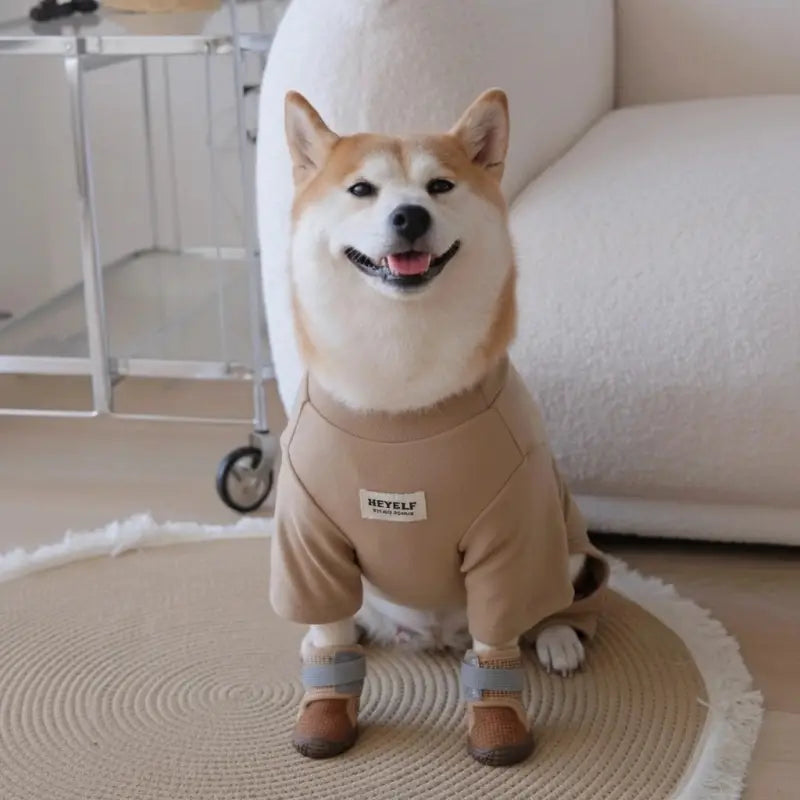 Dog Fleece Boots - Stylish