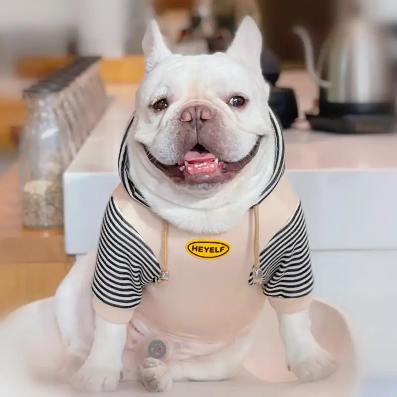 Dinosaur Fleece Dog Hoodies