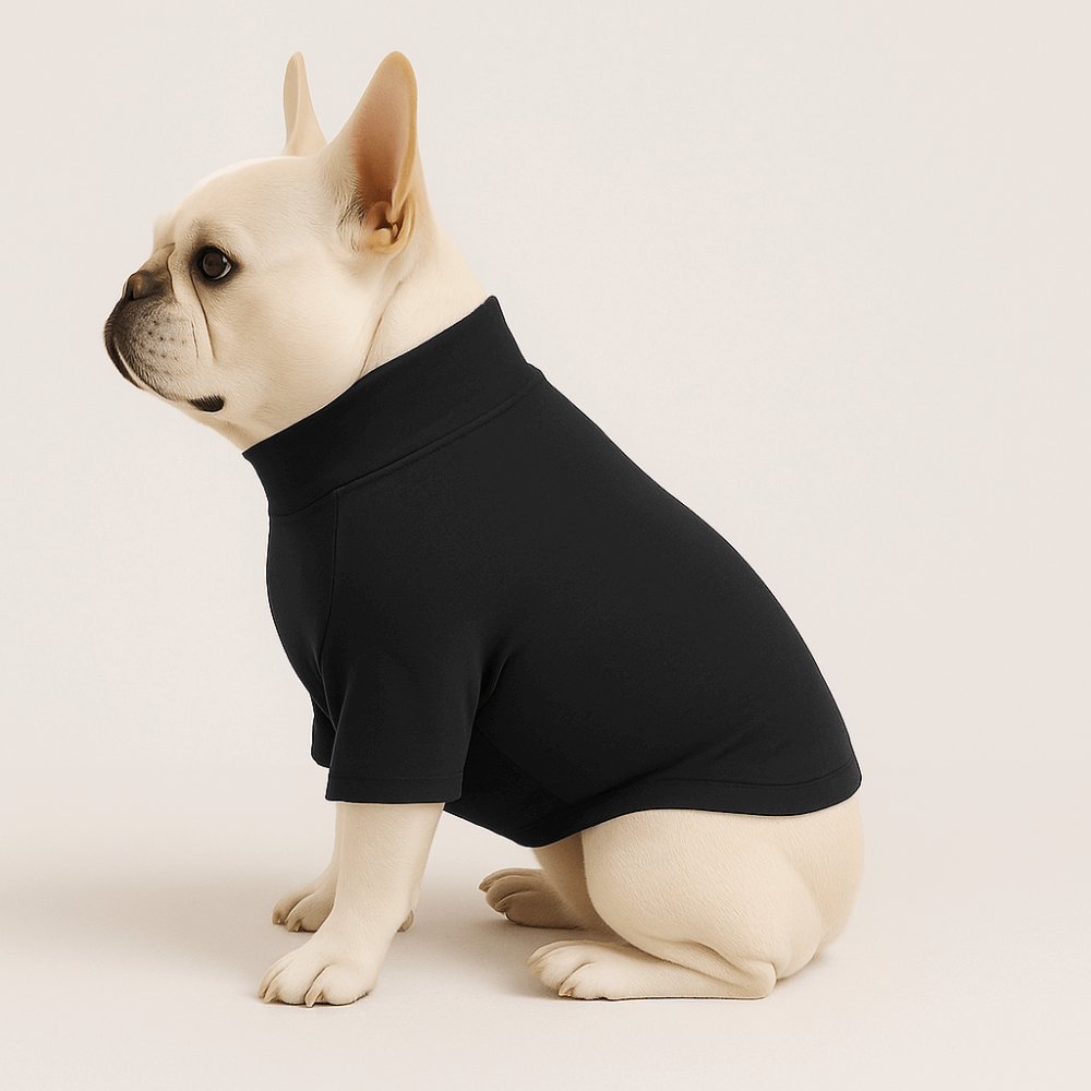 Pre-order Essentials Dog Sweatshirts