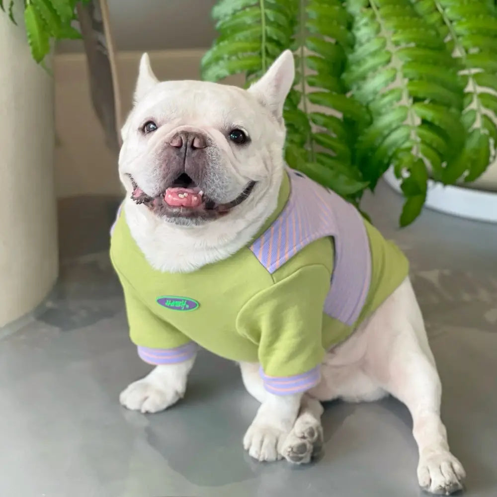 Fake Two-piece Dog Sweatshirts