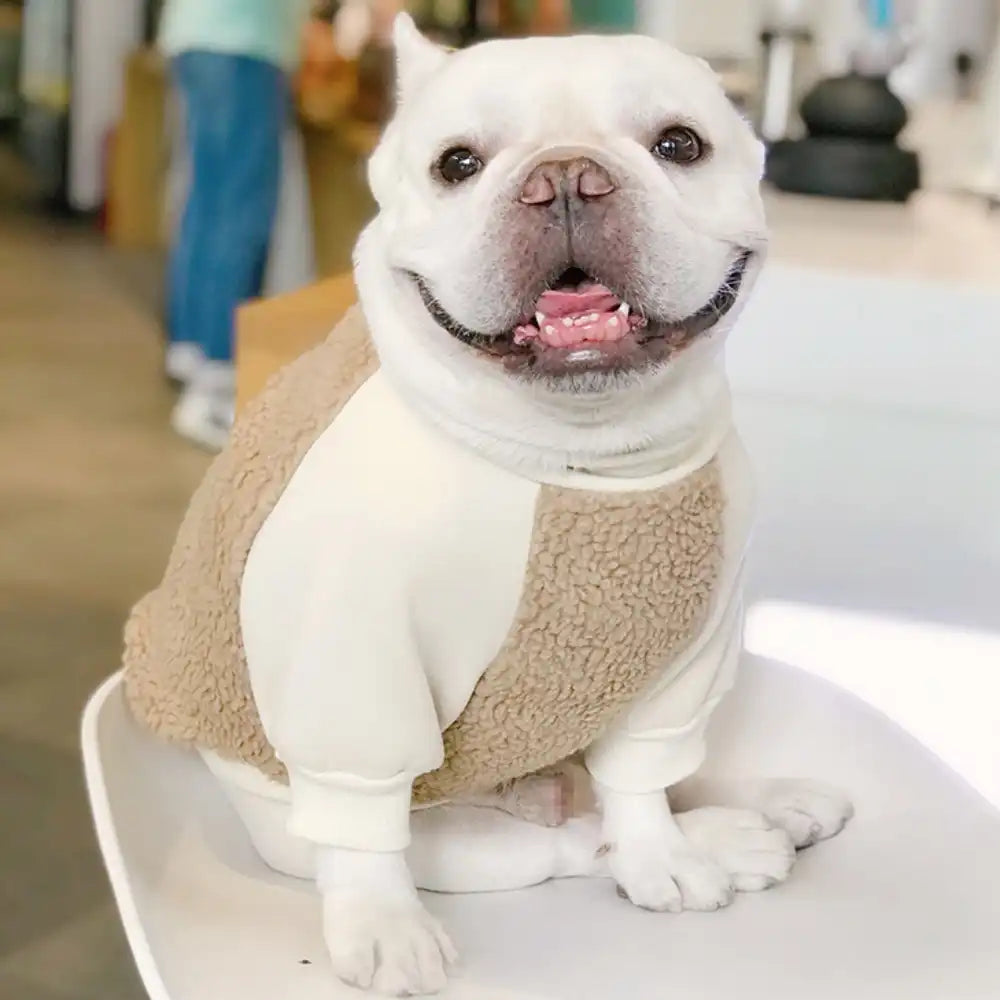 Soft Teddy Bear Fleece Dog Hoodie