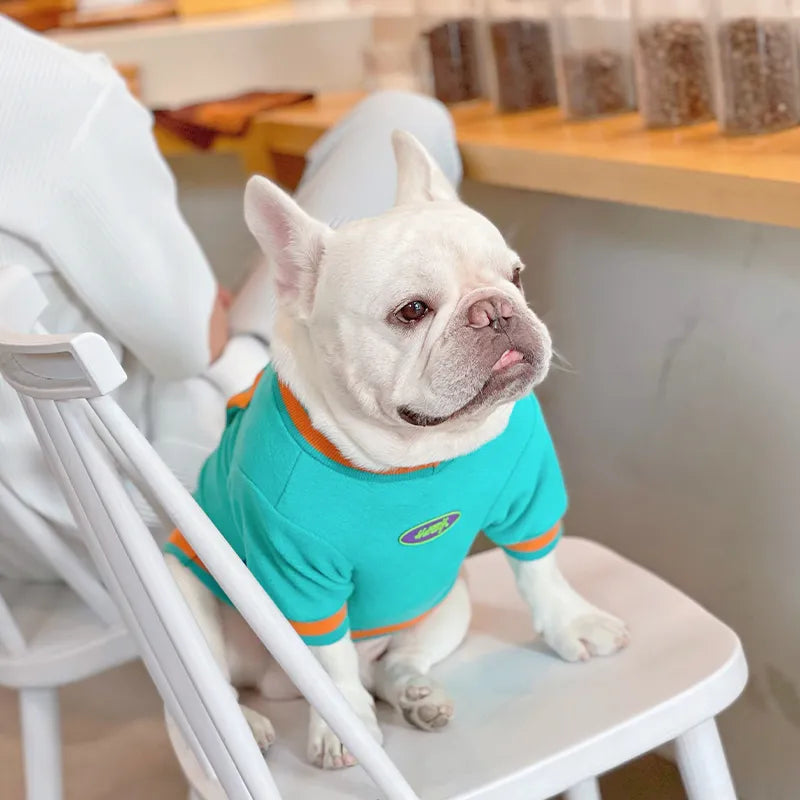 Warm Dog Hoodie - Little Monster