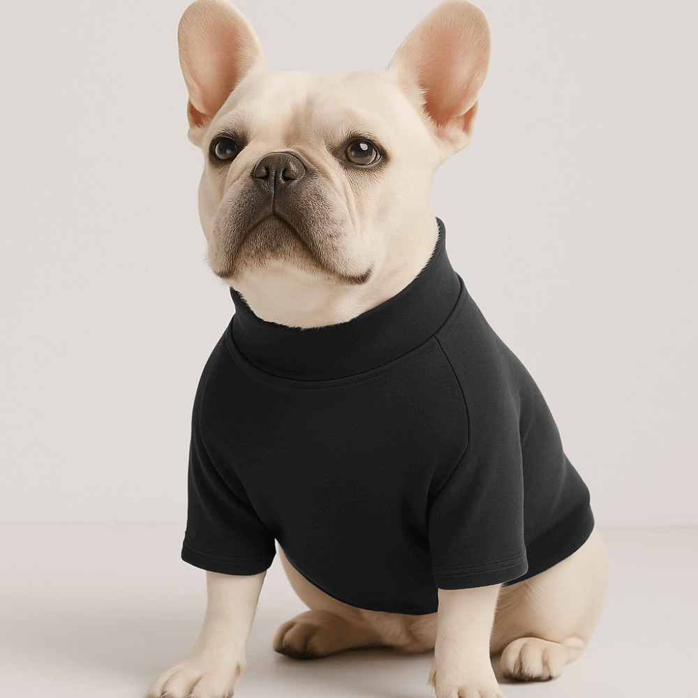 Pre-order Essentials Dog Sweatshirts