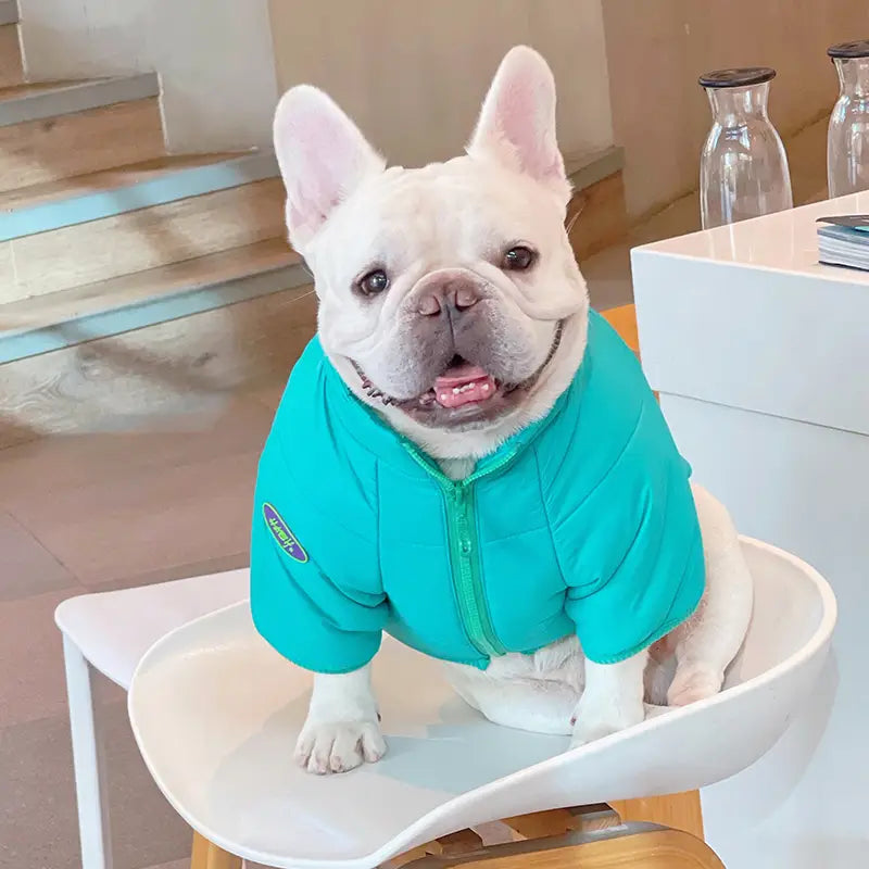 Aqua Zip-Up Dog Puffer Jacket