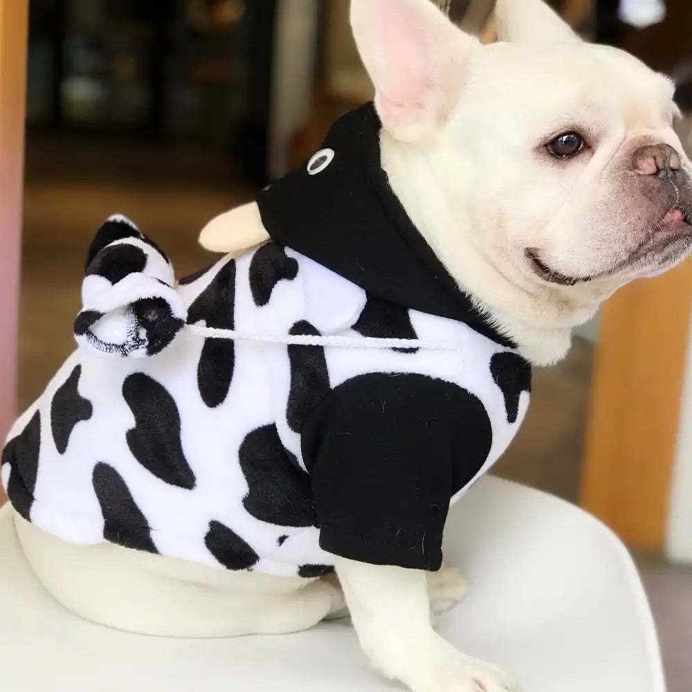 Cow Dog Hoodies