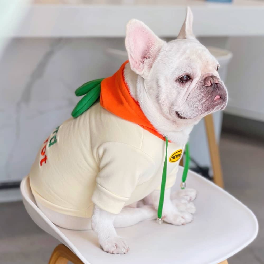 Funny Dog Hoodies