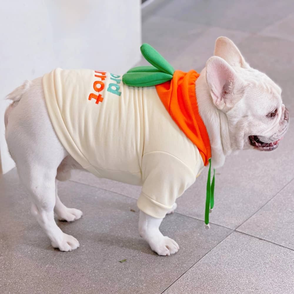 Funny Dog Hoodies