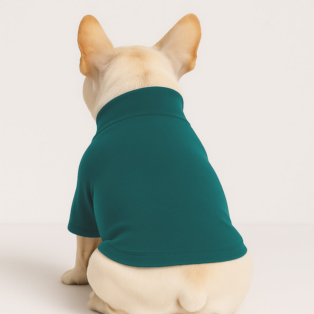 Pre-order Essentials Dog Sweatshirts