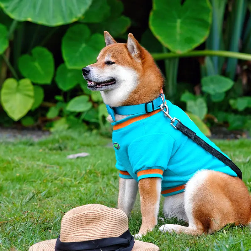 Warm Dog Hoodie - Little Monster