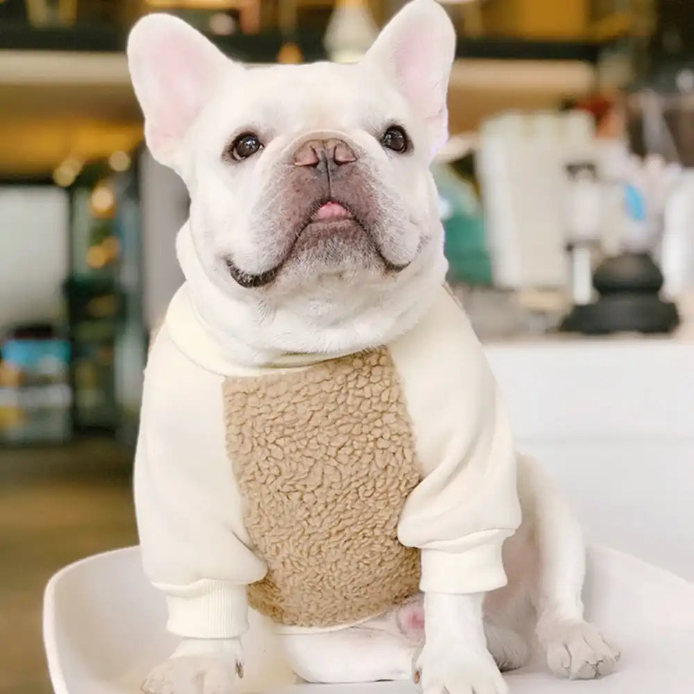 Soft Teddy Bear Fleece Dog Hoodie