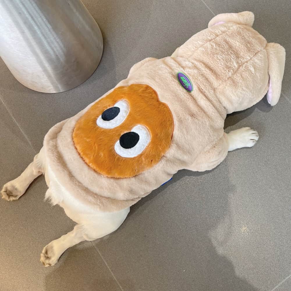 Bunny Ears Soft Plush Dog Hoodies