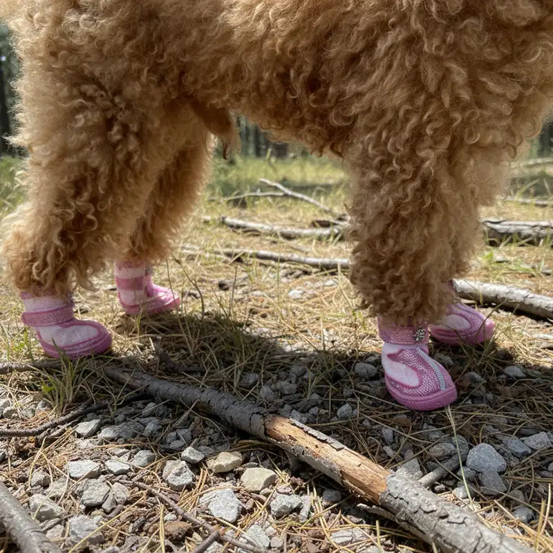 Breathable Dog Shoes - Shine