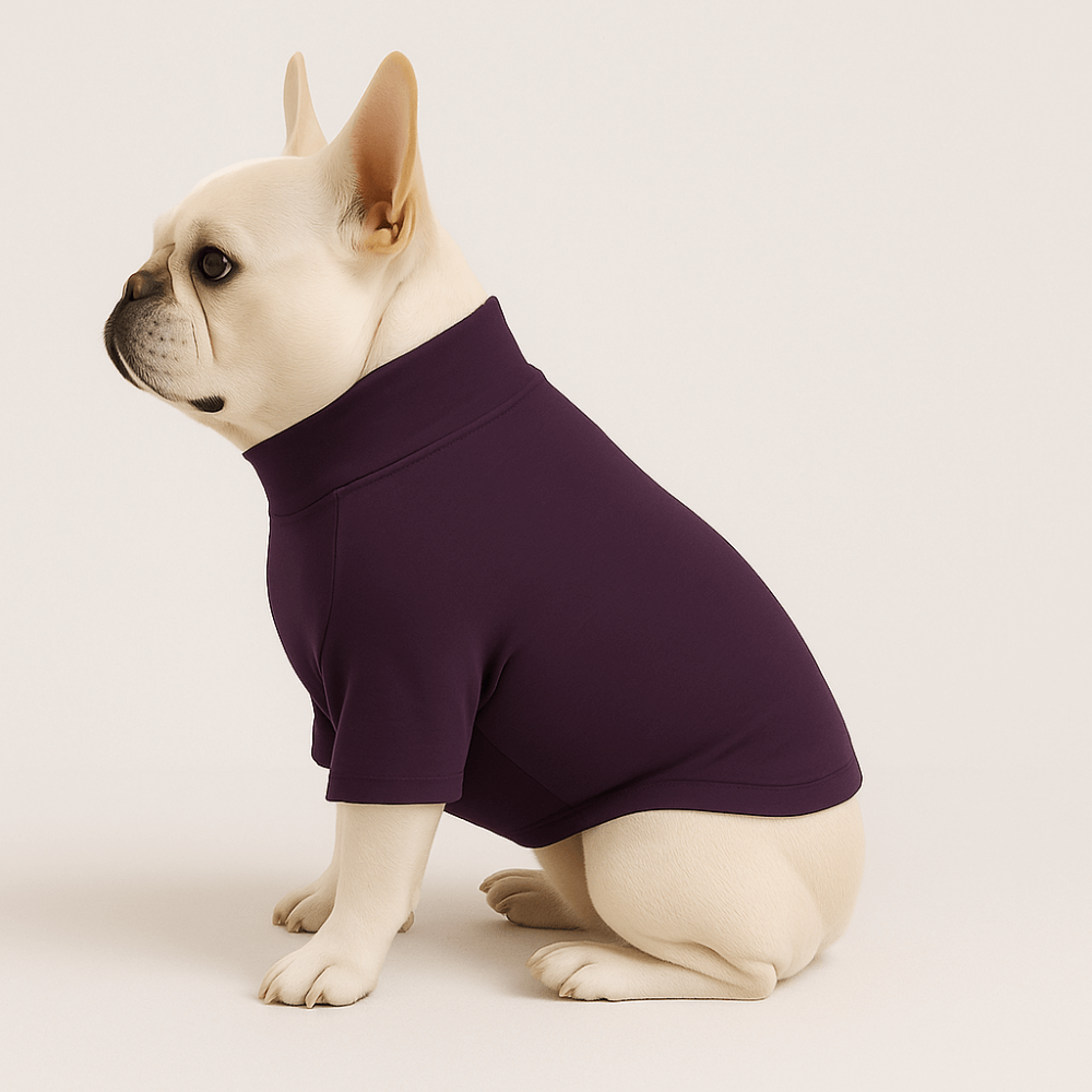 Pre-order Essentials Dog Sweatshirts