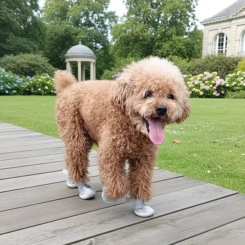 Breathable Dog Shoes - Mesh