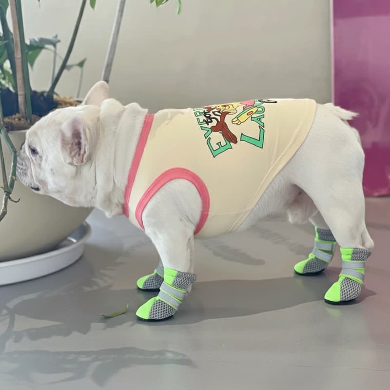 Breathable Dog Shoes for Summer