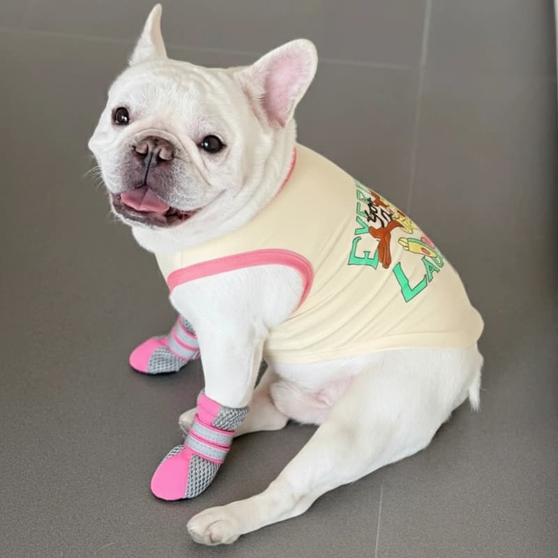 Breathable Dog Shoes for Summer