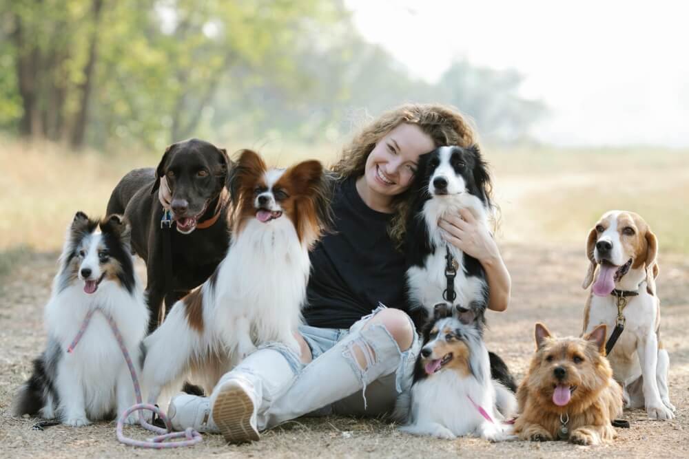 What Dog Should I Get? How to Choose the Right Breed for You