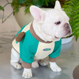 Bear N95 Fleece Dog Hoodies