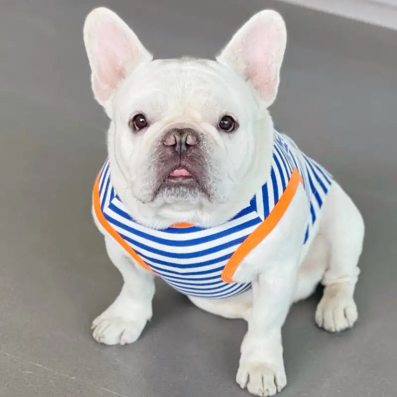 Blue Striped Giraffe Printing Summer Dog Tank Top