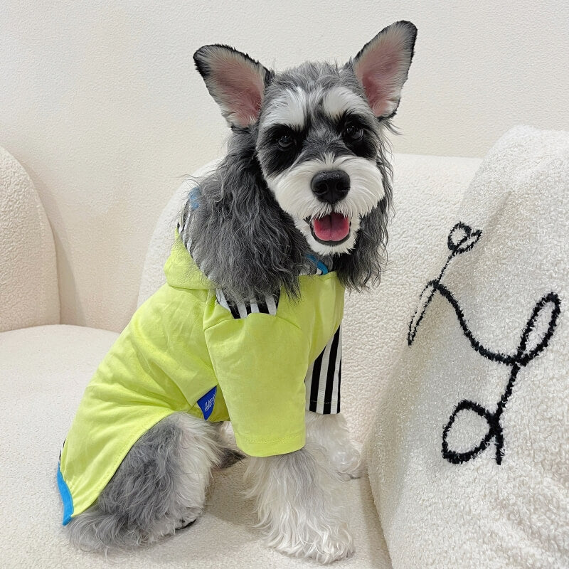 Color Block Striped Dog Hoodies