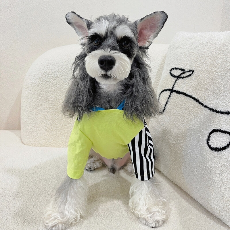 Color Block Striped Dog Hoodies