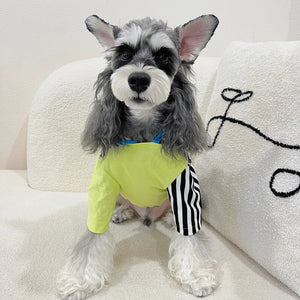 Color Block Striped Dog Hoodies