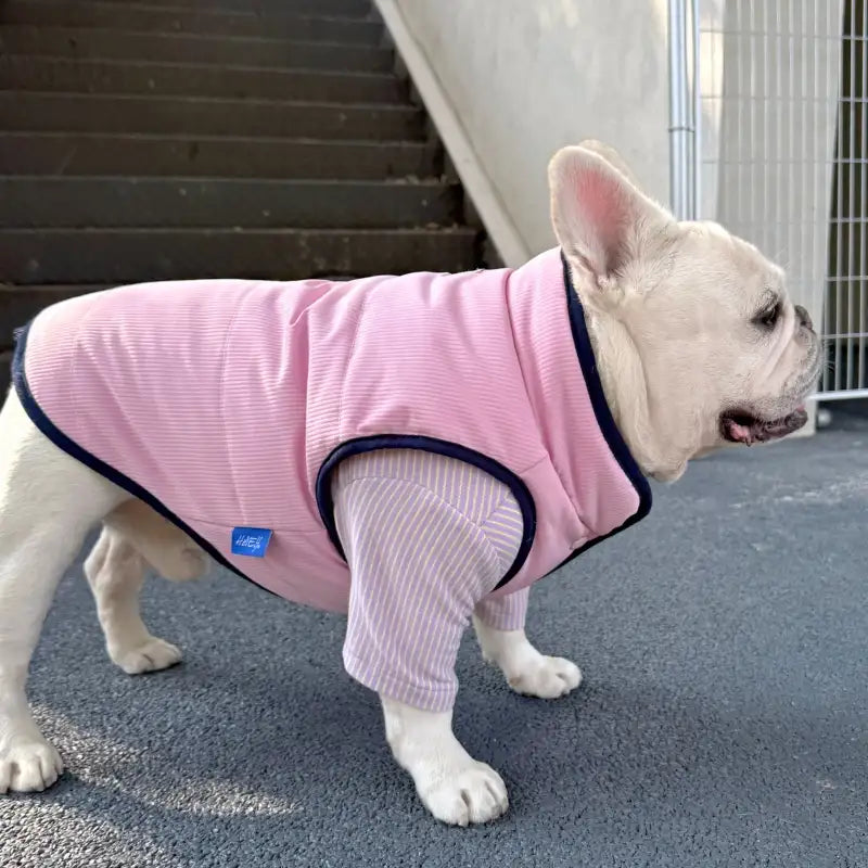 Corduroy Dog Puffer Vest