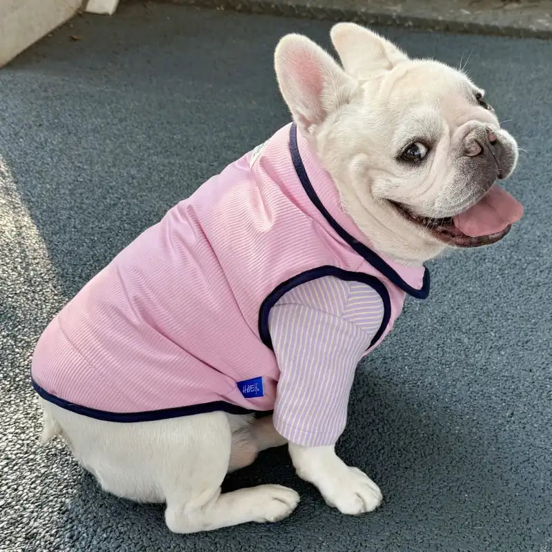Corduroy Dog Puffer Vest