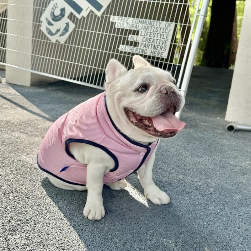 Corduroy Dog Puffer Vest