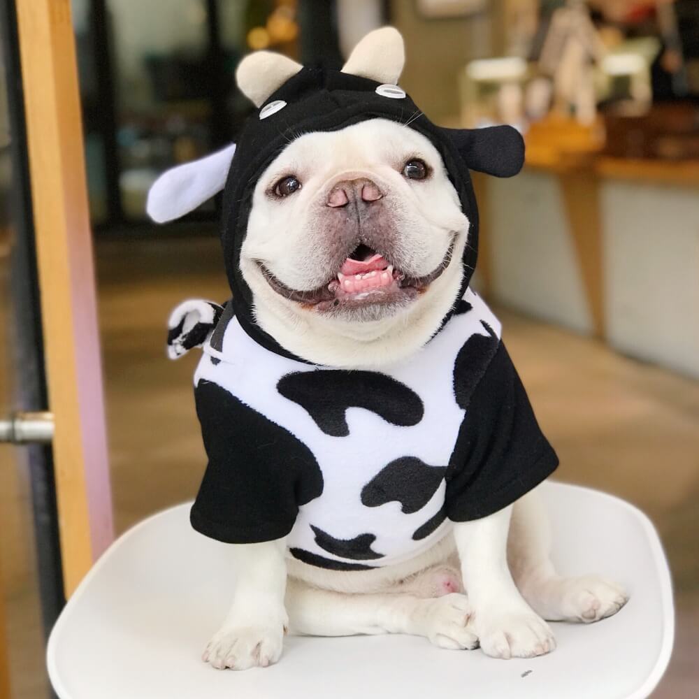 Cow Dog Hoodies