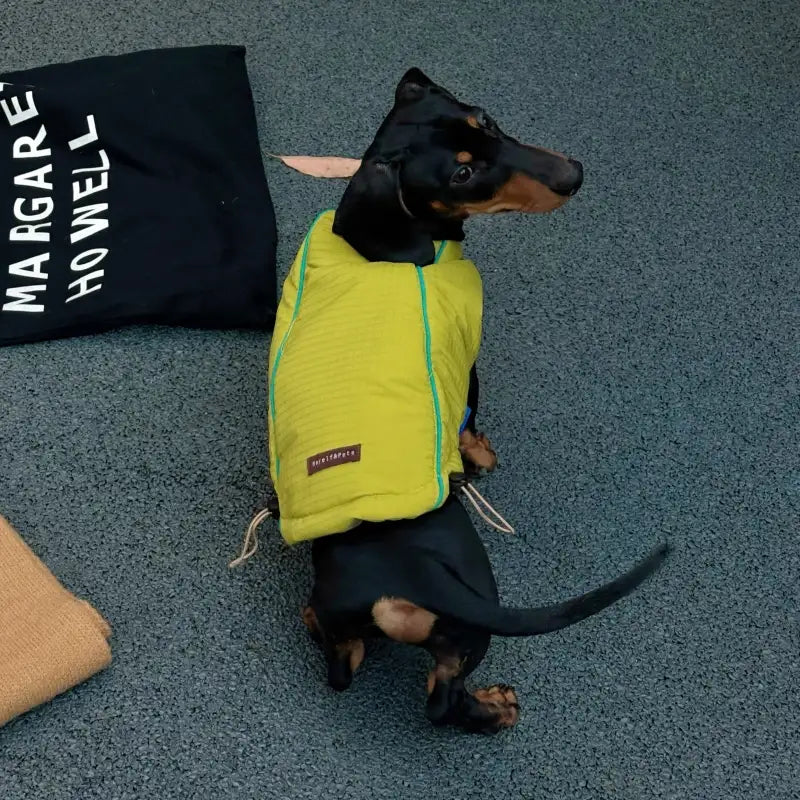 Premium Reversible Dog Winter Vest - Mustard Gold & Sage Green