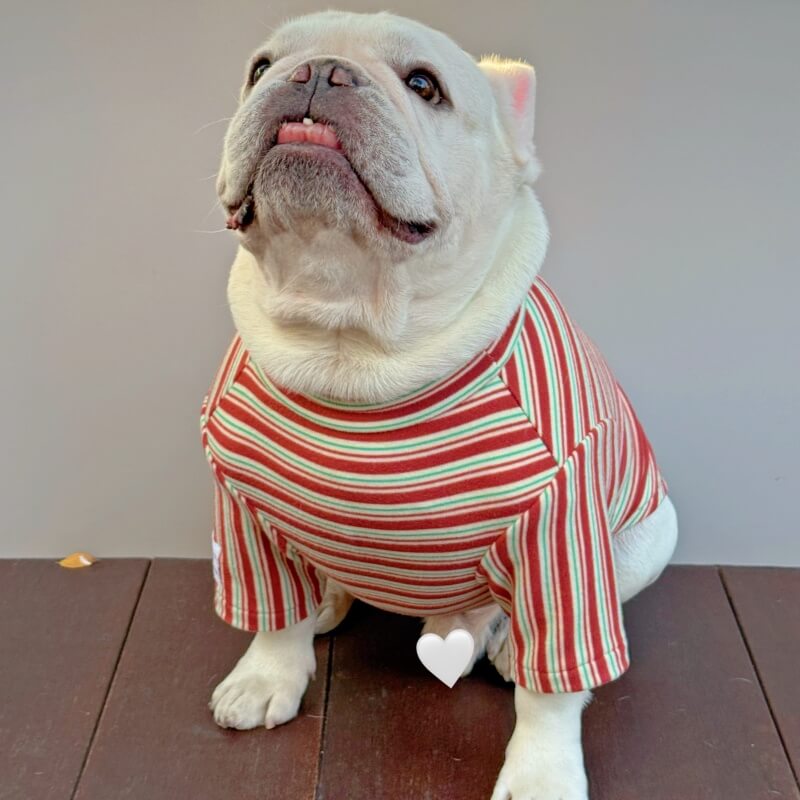 Diamond Fleece Stripe Shirt