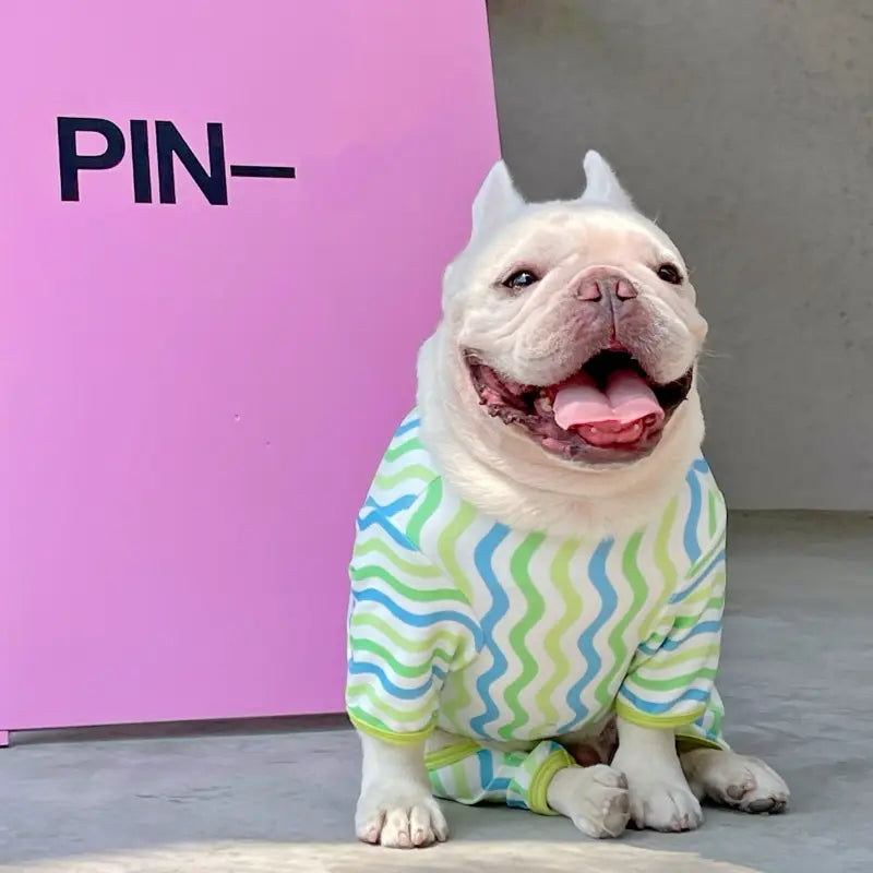 Caterpillar Dog Pajamas