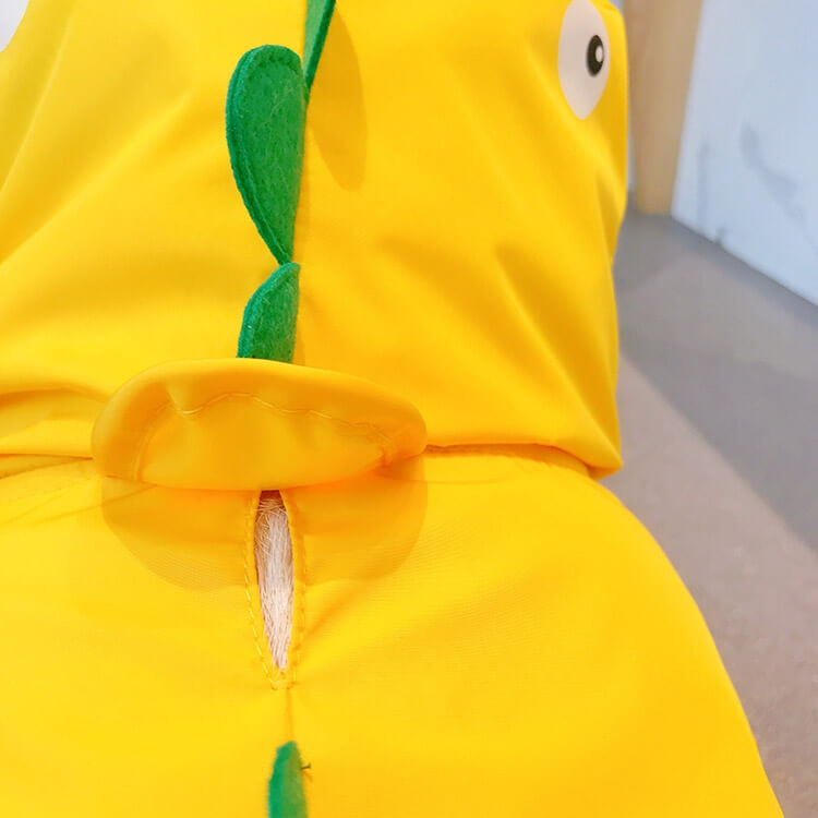 Dog Raincoat Full Coverage - Dinosaur