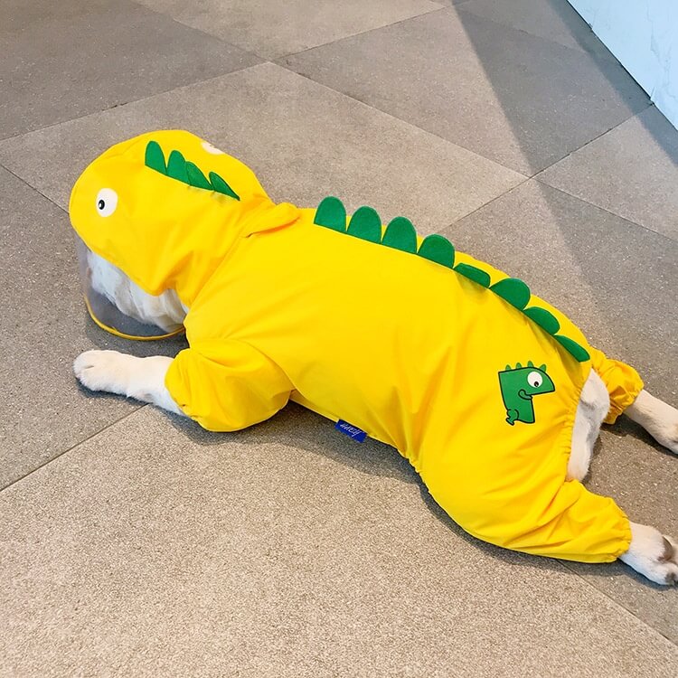 Dog Raincoat Full Coverage - Dinosaur