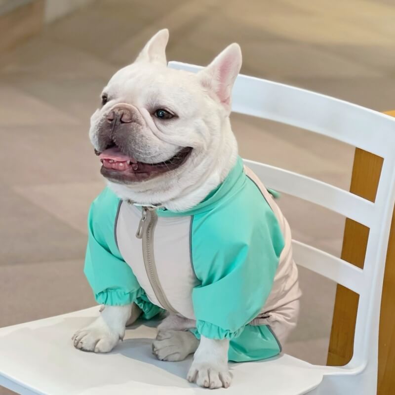 Dog Raincoat Full Coverage - Frog