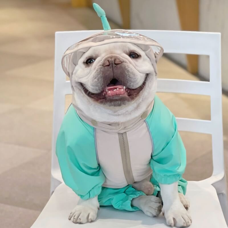 Dog Raincoat Full Coverage - Frog