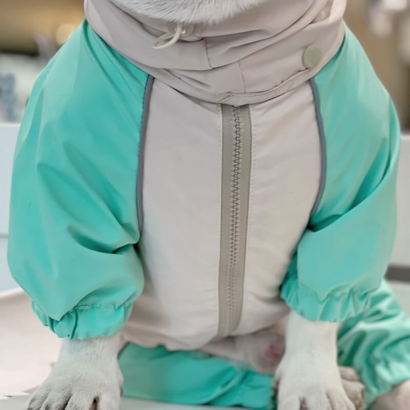 Dog Raincoat Full Coverage - Frog