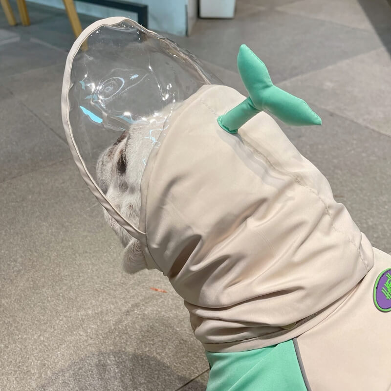 Dog Raincoat Full Coverage - Frog