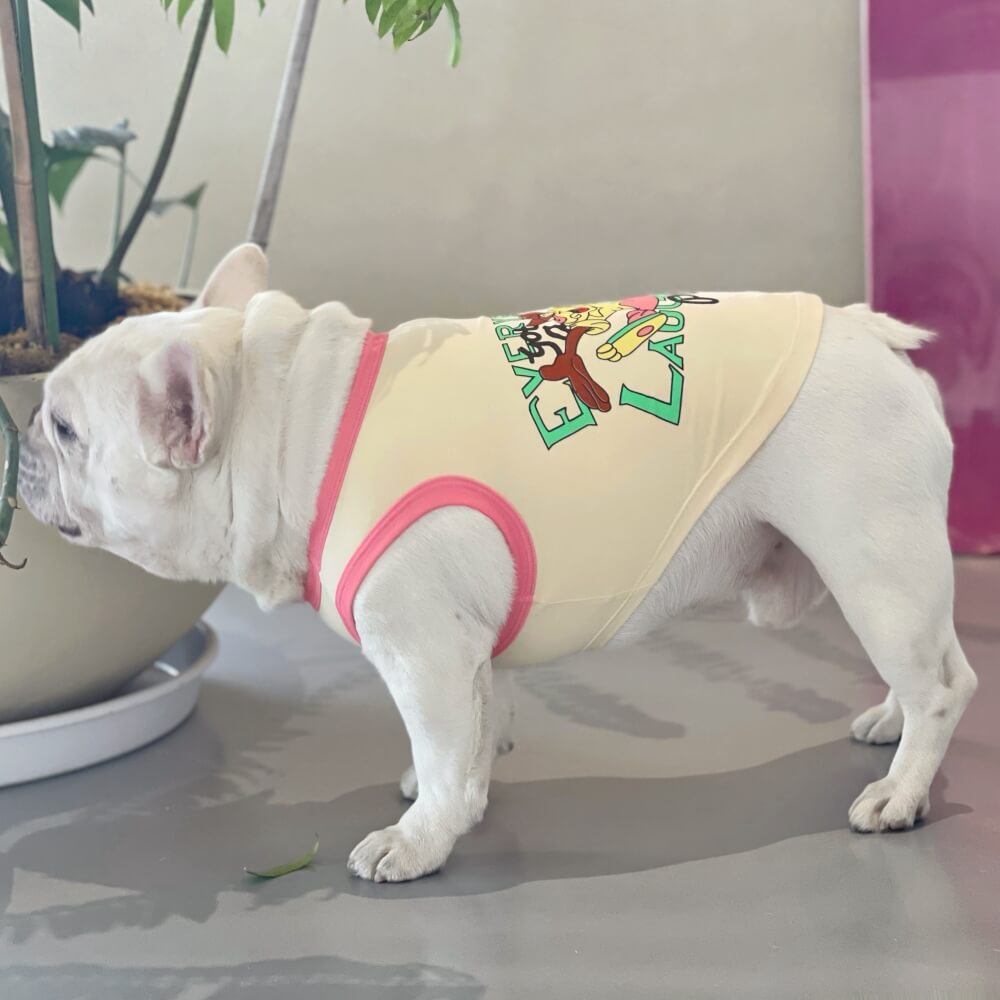 Summer Dog Tank Tops