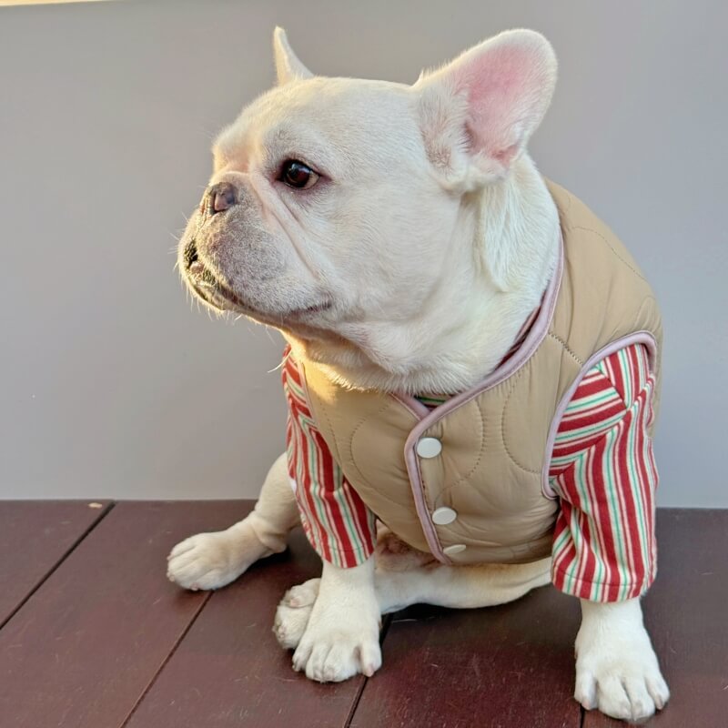 Fishing Bear Dog Puffer Vest